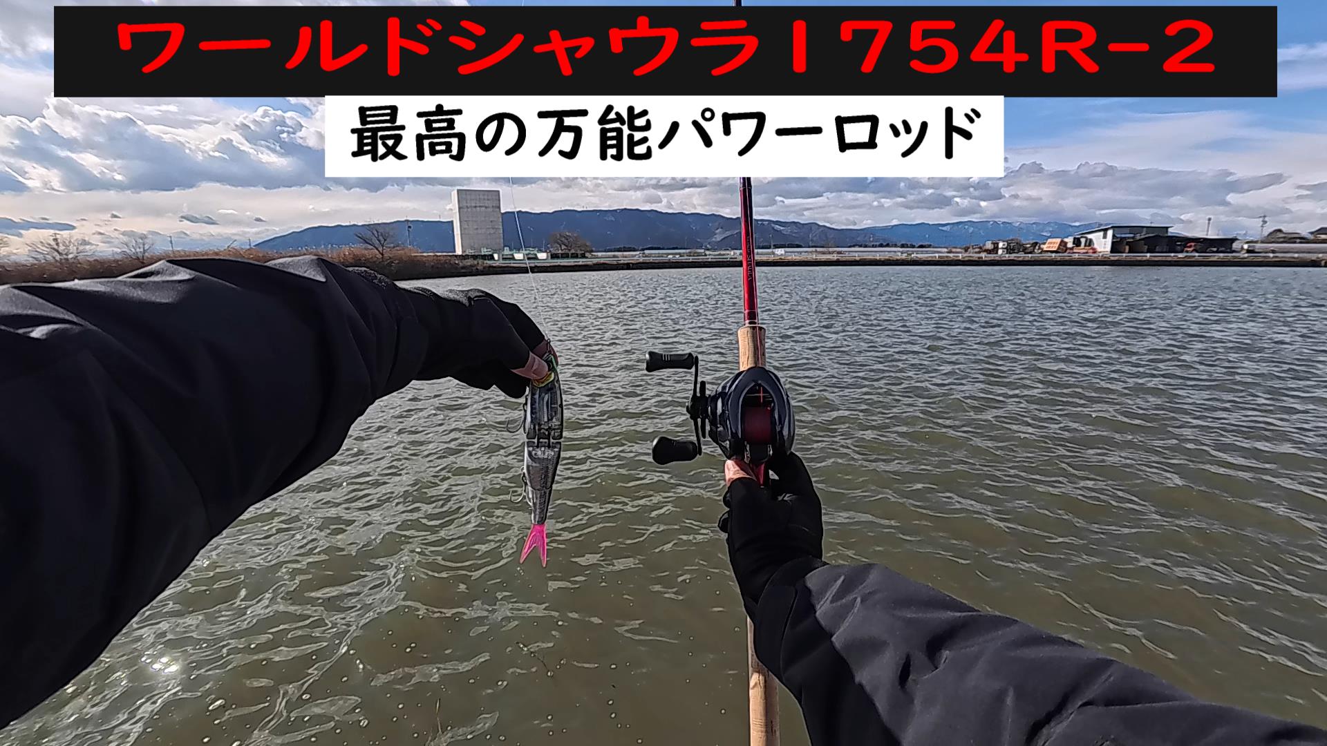 ワールドシャウラ1754R-2